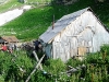 ultimo alpeggio prima del campo